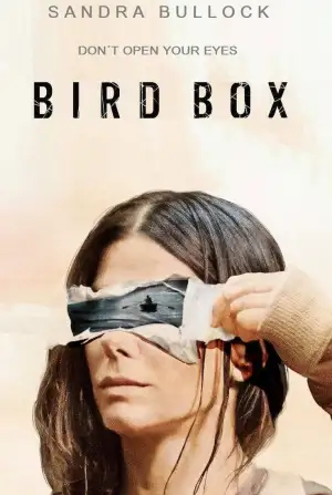 Poster to the movie "Bird Box" #801800