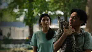 Crocodile Tears