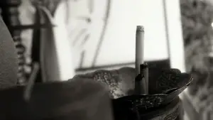 Backdrop to the movie "A Saigon-Noon" #572107