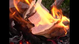 Backdrop to the movie "Fiery Enigma" #776570