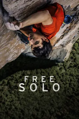 Poster to the movie "Free Solo" #621477