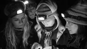 Backdrop to the movie "Green Border" #191082