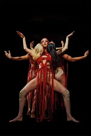 Poster to the movie "Suspiria" #671098