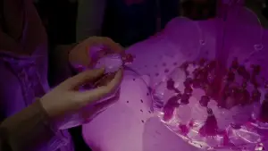 Backdrop to the movie "Harry Potter and the Half-Blood Prince" #559518