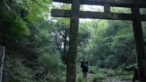 Backdrop to the movie "The Mountain" #832568