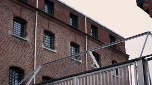 Backdrop to the movie "Hamar