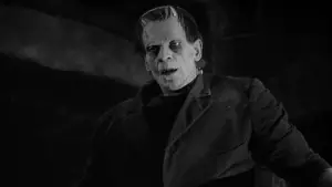 Backdrop to the movie "Frankenstein" #641072