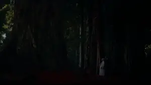 Backdrop to the movie "Vertigo" #635972