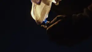 Backdrop to the movie "Knives Out" #561318