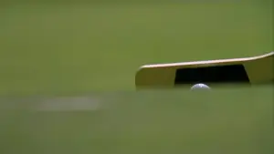 Backdrop to the movie "Happy Gilmore" #810078