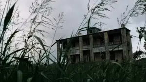 Backdrop to the movie "The Texas Chainsaw Massacre" #711026