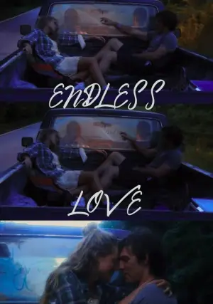 Poster to the movie "Endless Love" #765882