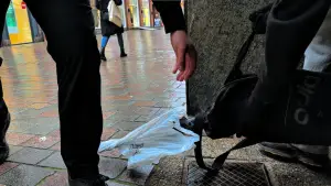 Backdrop to the movie "Fifth Mission" #776024