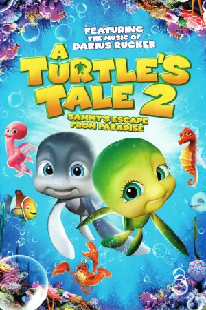Poster to the movie "A Turtle