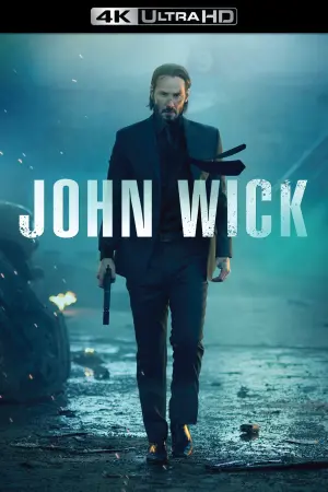 Poster to the movie "John Wick" #51548
