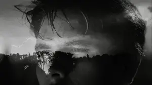 Watch film A Voyeurs Body | A Voyeurs Body - Official Trailer