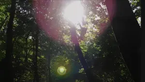 Backdrop to the movie "L