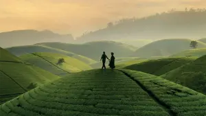 Backdrop to the movie "Black Tea" #192673