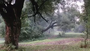 Backdrop to the movie "Solaris" #731559