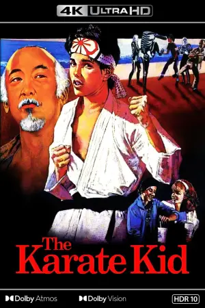 Poster to the movie "The Karate Kid" #649207