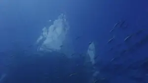 Backdrop to the movie "Castaway" #740599