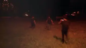 Backdrop to the movie "Los Archivos Del Parque Pereyra" #774054