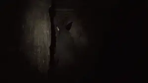 Backdrop to the movie "As Above, So Below" #673882