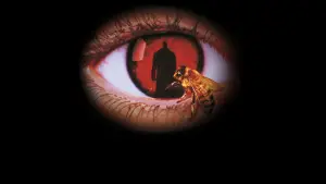 Backdrop to the movie "Candyman" #686543