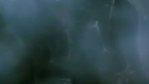 Backdrop to the movie "Comingled Containers" #706801