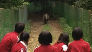 Backdrop to the movie "Swing Girls" #785746