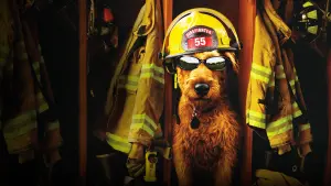 Backdrop to the movie "Firehouse Dog" #429242