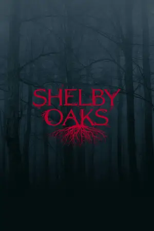 Poster to the movie "Shelby Oaks" #522947
