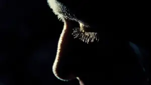 Backdrop to the movie "First Man" #631217