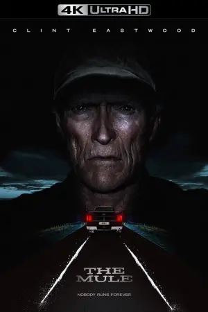 Poster to the movie "The Mule" #69738