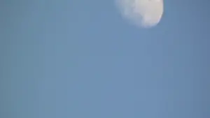 Backdrop to the movie "Moonwalk" #456325