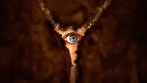 Backdrop to the movie "Return to Silent Hill" #508760