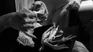 Backdrop to the movie "The Exterminating Angel" #751866