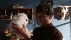 Backdrop to the movie "Animals in War" #692695