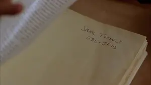 Backdrop to the movie "Serendipity" #602982