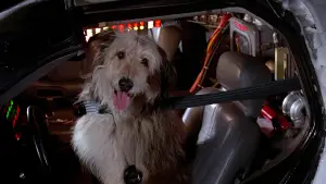 Backdrop to the movie "Back to the Future" #550608