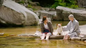 Backdrop to the movie "Mungyeong: More than Roads" #448855