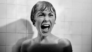 Backdrop to the movie "Psycho" #620110