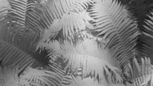 Backdrop to the movie "Materia vibrante" #789090