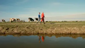 Backdrop to the movie "Vogels kun je niet melken" #312197