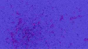 Backdrop to the movie "BE - VOLUME ONE" #798964