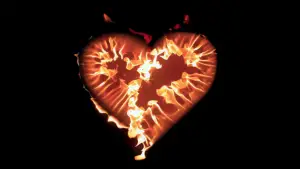 Backdrop to the movie "The Substance" #531234