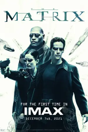Poster to the movie "The Matrix" #526369