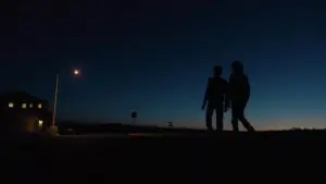 Backdrop to the movie "The Goldfinch" #727918