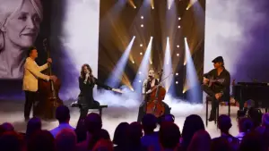 Backdrop to the movie "La fête de la chanson française - 20 ans d