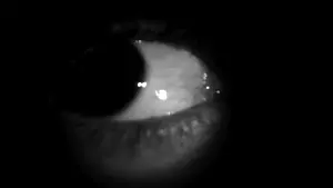 Backdrop to the movie "Something Awful" #470449